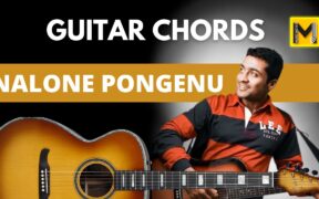 Nalone Pongenu Narmada Guitar Chords | Easy & Accurate | Surya S/O Krishnan
