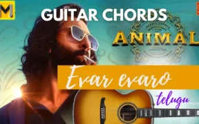 Evarevaro song Guitar chords | Animal Movie | Easy Guitar chords